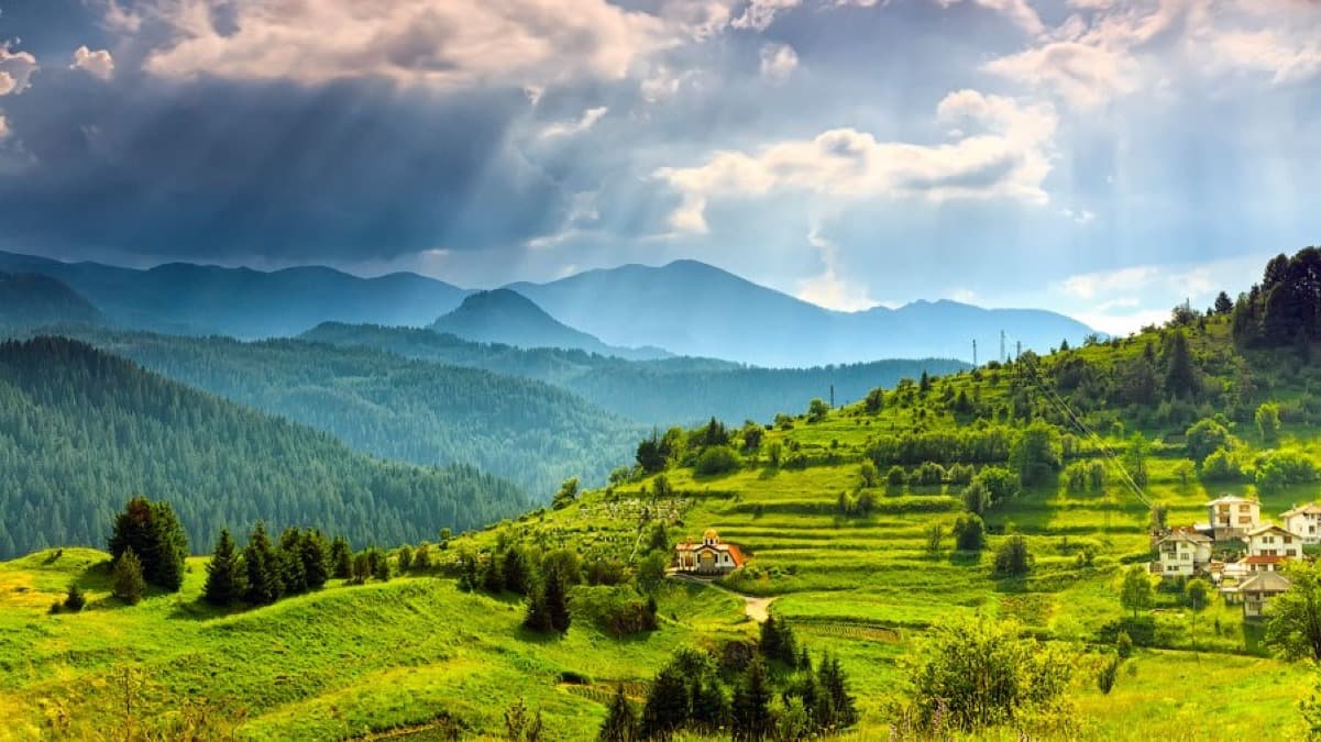 кв. Драгалевци - Черни връх - кв. Симеоново image